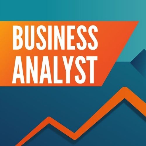 Business Analyst